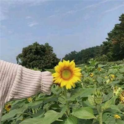 沙城荣耀之传奇游戏
